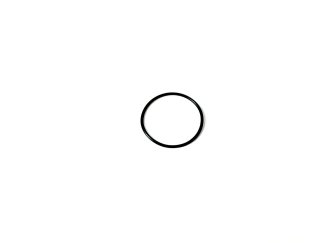 L.I.O.N. V1 Replacement Base O-Ring
